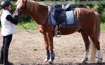 What is Equine-Assisted Therapy?